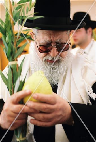 Rabbi Ovadia Yosef