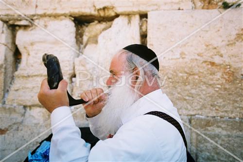 western wall