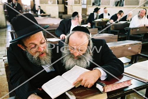 לימוד תורה בבית כנסת
