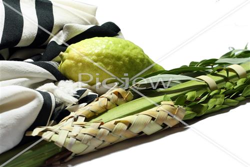 Sukkot Lulav and Etrog