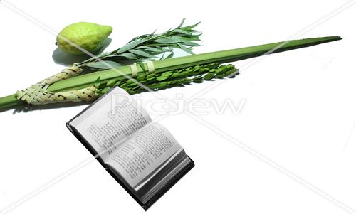 Sukkot Lulav and Etrog