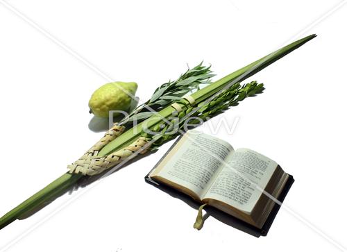 Sukkot Lulav and Etrog