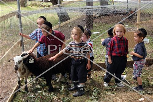 ילדים בבין הזמנים