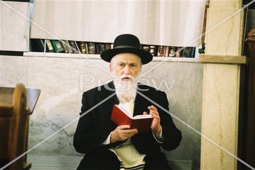 Rabbi Meir Soloveitchik