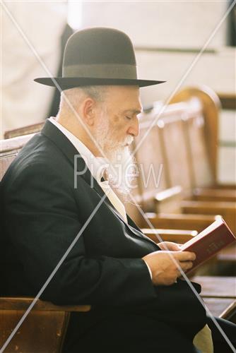 Rabbi Meir Soloveitchik