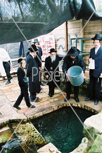 Rabbi Meir Soloveitchik