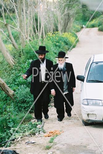הרב מאיר סולביציק