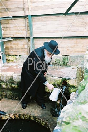 Rabbi Meir Soloveitchik