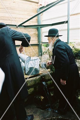 Rabbi Meir Soloveitchik