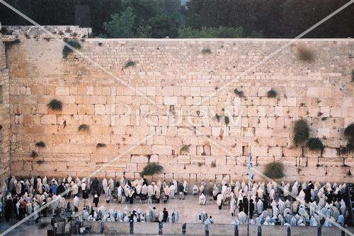 western wall