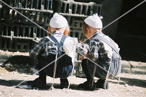 מנהג כפרות