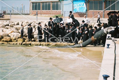 מנהג תשליך