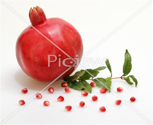 Pomegranate