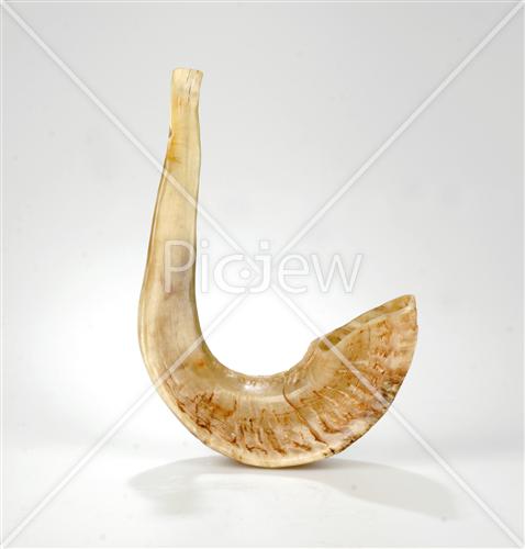 shofar