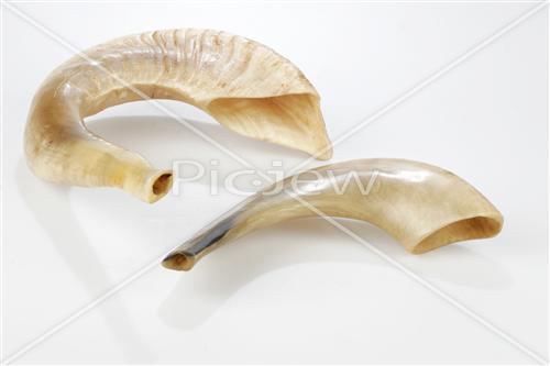 shofar