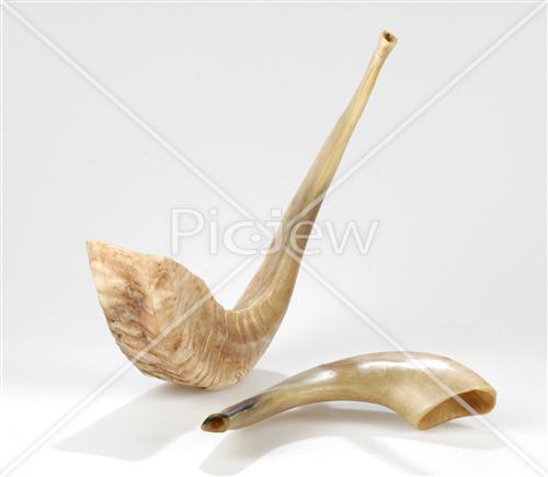 shofar