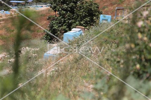 The cemetery of Safed