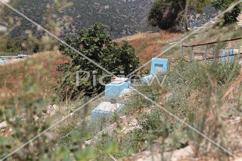 The cemetery of Safed