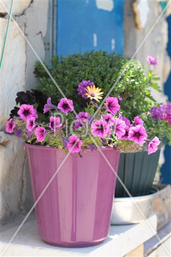 The cemetery of Safed