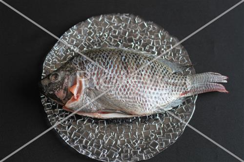 Fish on plate