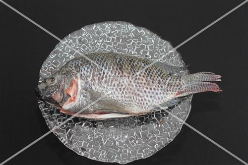 Fish on plate