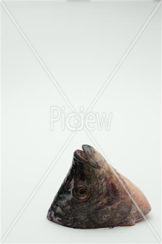 fish head