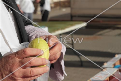 Checking etrog