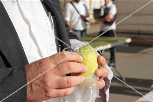 Checking etrog