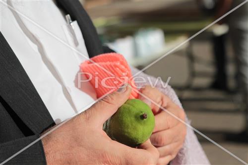 Checking etrog