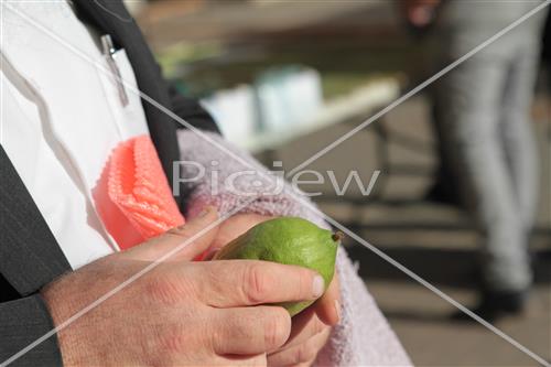 Checking etrog