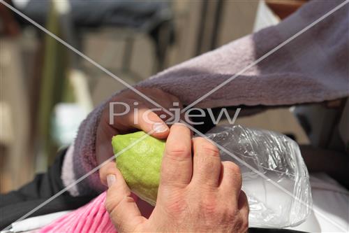 Checking etrog