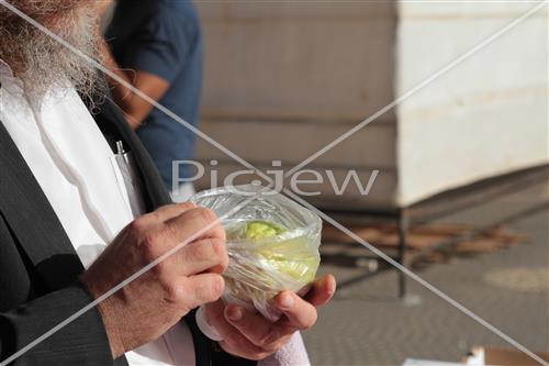 Checking etrog