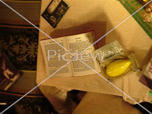 Miniature sukkah