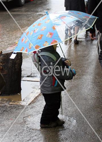 Umbrella