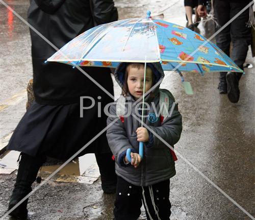 Umbrella