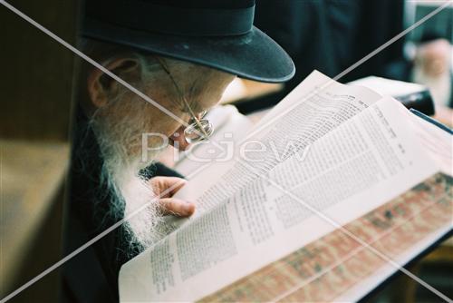 Learning torah