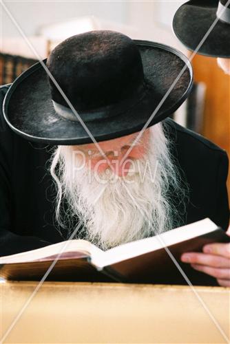 Learning torah