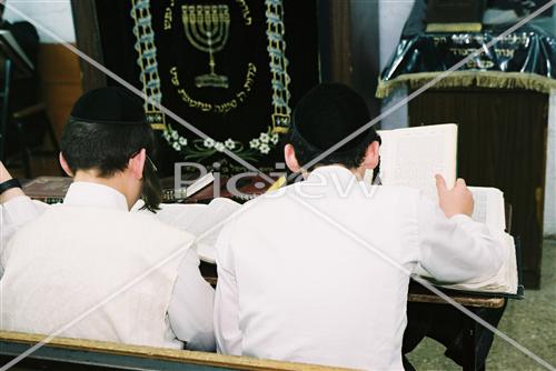 Learning torah