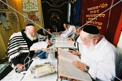 Learning torah