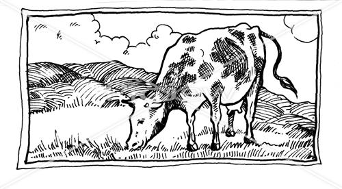 Illustrations