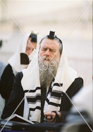 Rabbi Moshe Shapira