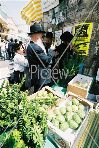 שוק ארבעת המינים