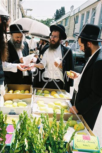 שוק ארבעת המינים