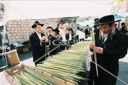 שוק ארבעת המינים