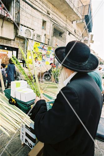 שוק ארבעת המינים