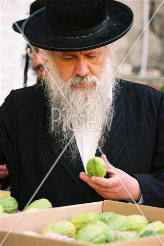 שוק ארבעת המינים