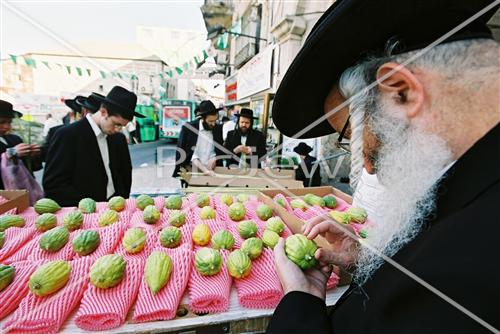 שוק ארבעת המינים