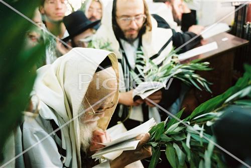 Rabbi Eliashiv