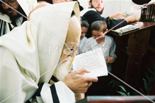 Rabbi Eliashiv