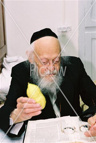 Rabbi Eliashiv